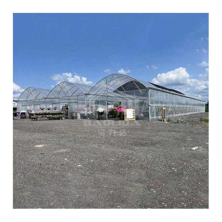 frame plastic film multi-span tomato greenhouses china custom green house serre agricole for planting