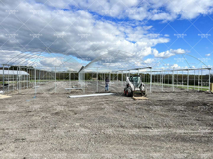 frame plastic film multi-span tomato greenhouses china custom green house serre agricole for planting