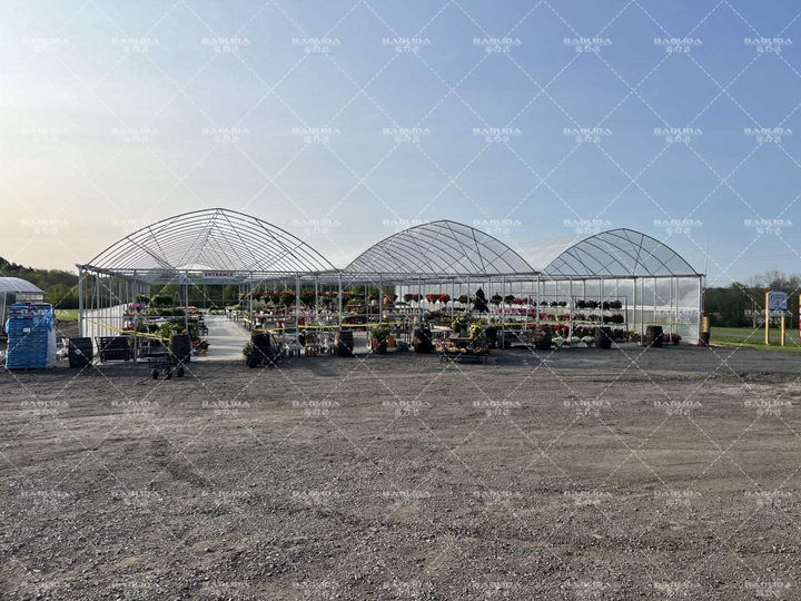 frame plastic film multi-span tomato greenhouses china custom green house serre agricole for planting