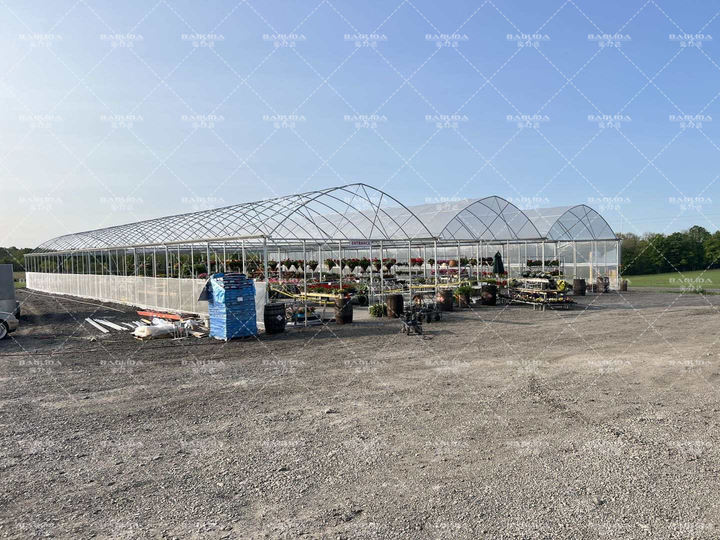 frame plastic film multi-span tomato greenhouses china custom green house serre agricole for planting