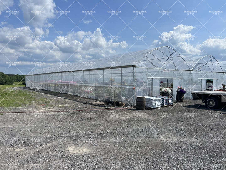 frame plastic film multi-span tomato greenhouses china custom green house serre agricole for planting