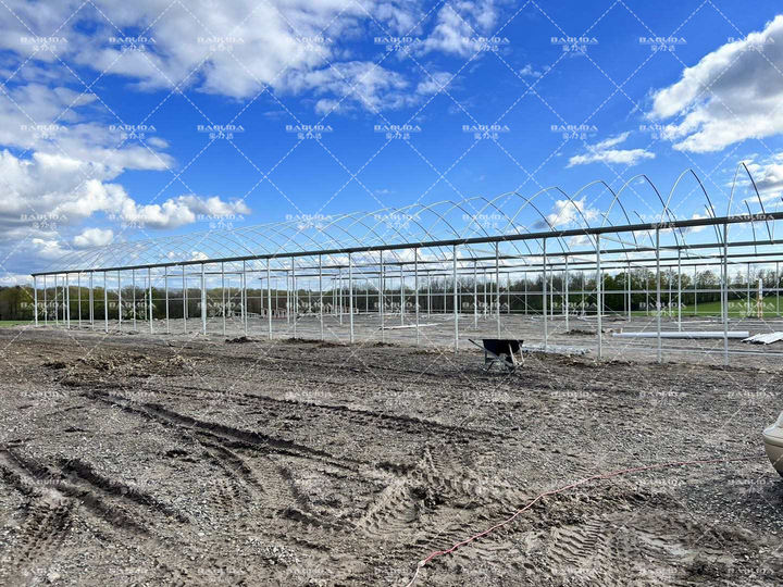Flim tunnel horticultural green house low cost hot sale polytunnel berry greenhouse for farming Rapid Production Solutions Trade