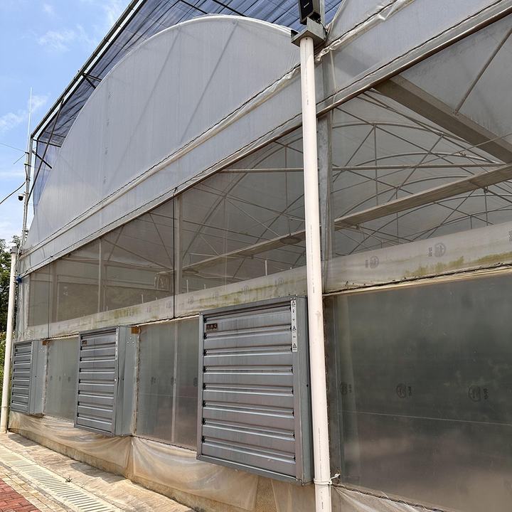 commercial green house metal frame luxury dome conservatory growing tent multi-span agricultural berry greenhouses kit