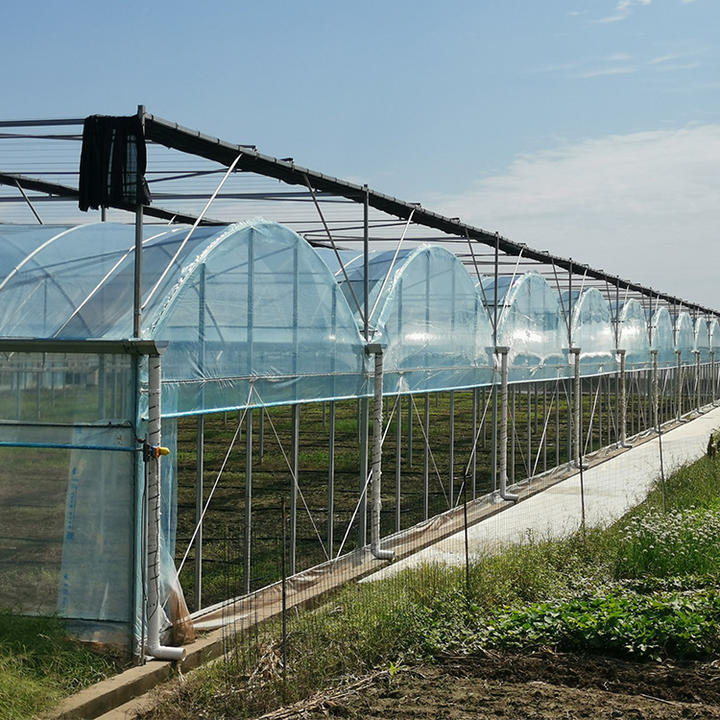 Vertical farming hydroponic system greenhouse structure tomato greenhouse multi-span greenhouses with nursery bed Made in China Factory Manufacturer