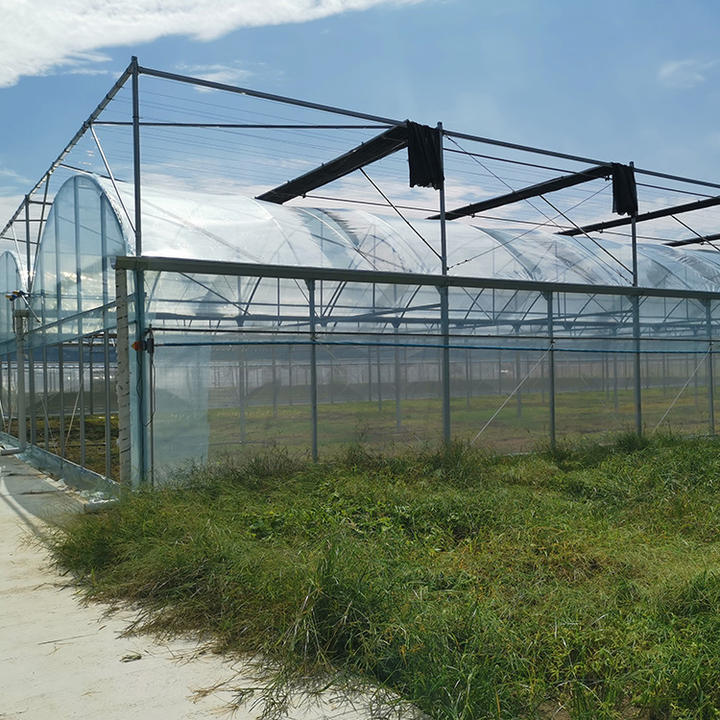 Vertical farming hydroponic system greenhouse structure tomato greenhouse multi-span greenhouses with nursery bed Made in China Factory Manufacturer