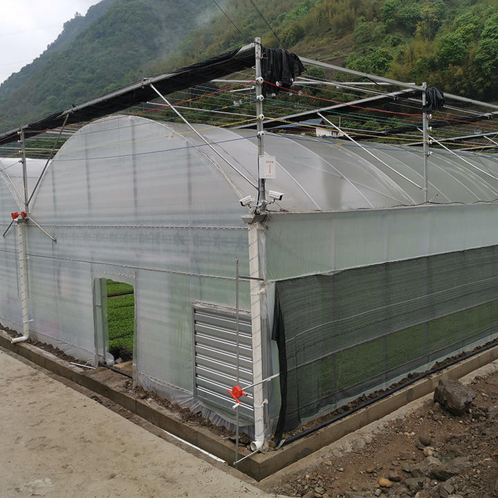 Vertical farming hydroponic system greenhouse structure tomato greenhouse multi-span greenhouses with nursery bed Made in China Factory Manufacturer