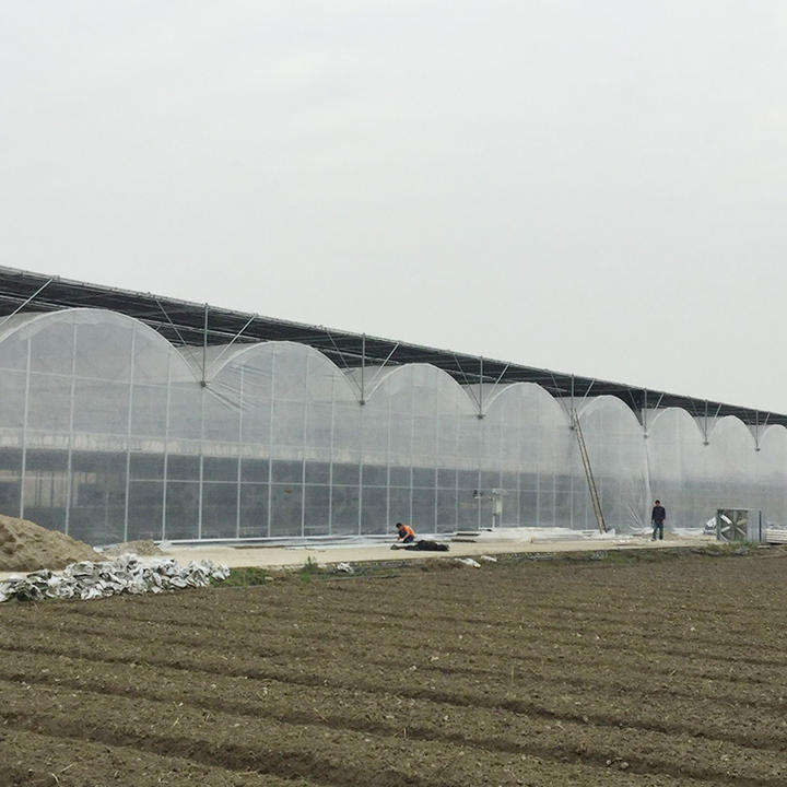 Ventilation system inner shading large indoor greenhouse shade structure multi-span greenhouse