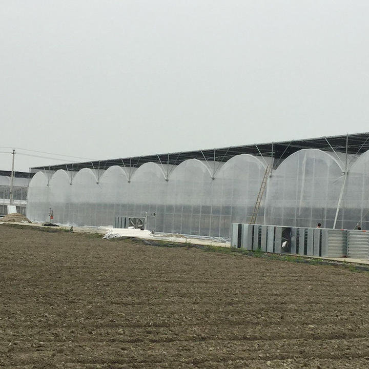 Ventilation system inner shading large indoor greenhouse shade structure multi-span greenhouse