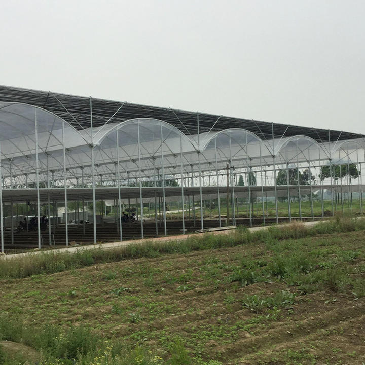 Ventilation system inner shading large indoor greenhouse shade structure multi-span greenhouse