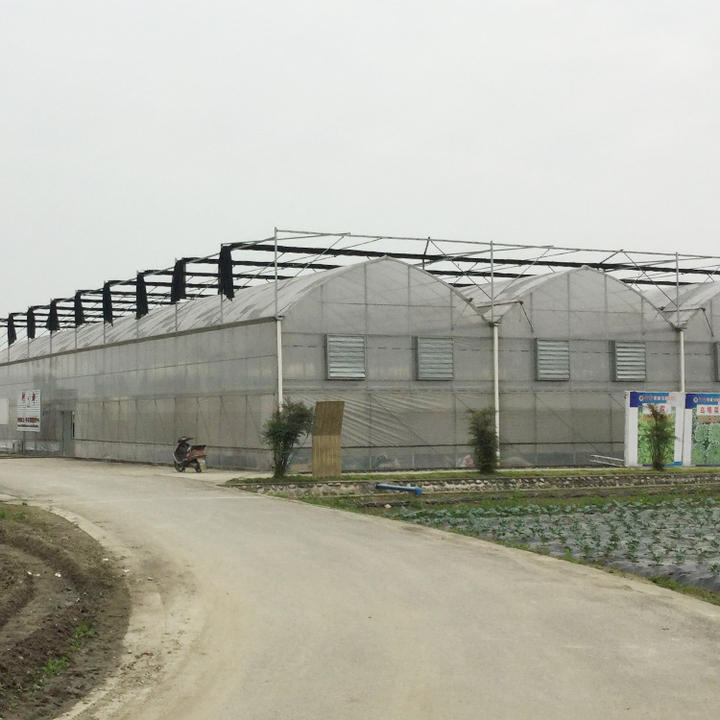 Ventilation system inner shading large indoor greenhouse shade structure multi-span greenhouse