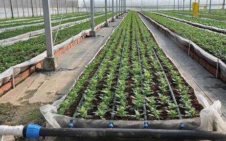 Agricultural Garden Drip Irrigation Pipe with Inlaid Circular Irrigator High Efficiency Farm Irrigation Systems