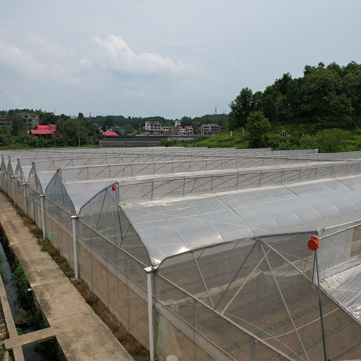 Ventilation Roof Green House Kit Sawtooth Growing Tent Top Vented Gothic Tropical Greenhouses in Hot Weather