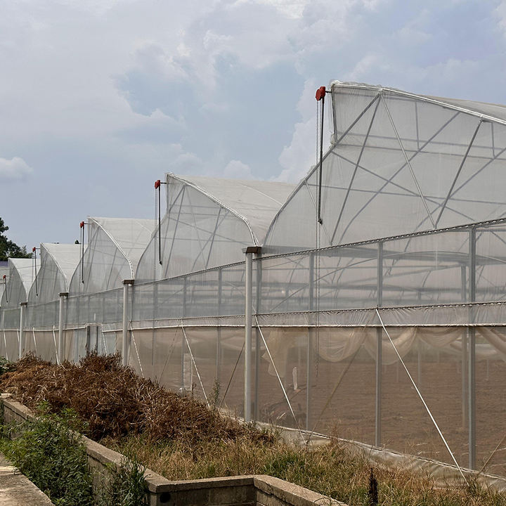 Ventilation Roof Green House Kit Sawtooth Growing Tent Top Vented Gothic Tropical Greenhouses in Hot Weather