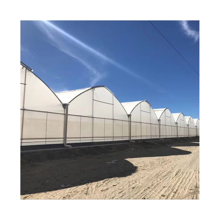 Ventilation Greenhouse Commercial Used Tropical Multi-span Greenhouse Manufacturer For Vertical Growing