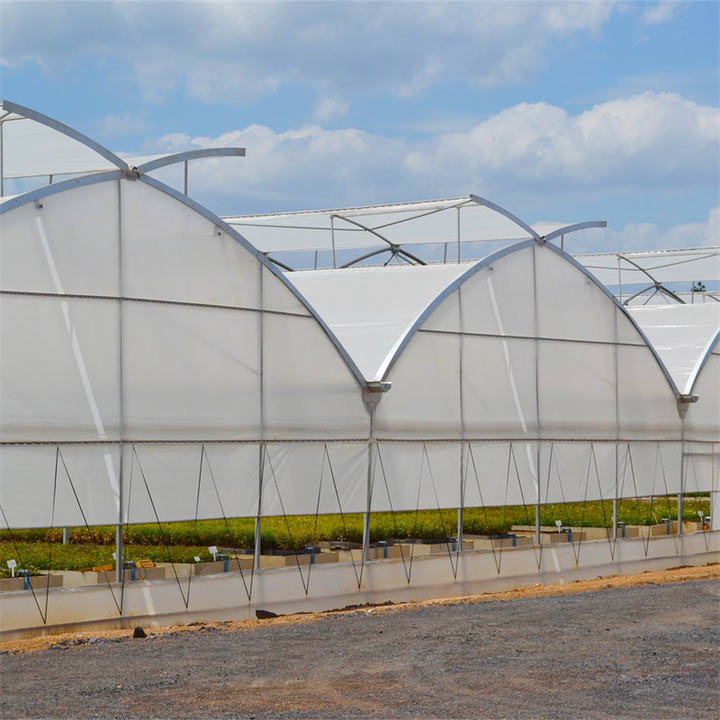 Ventilation Greenhouse Commercial Used Tropical Multi-span Greenhouse Manufacturer For Vertical Growing