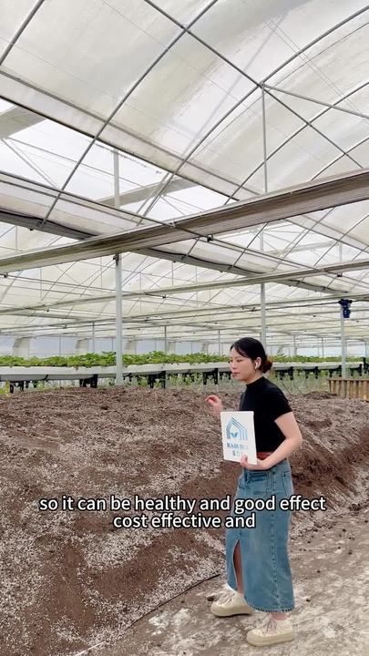 Vegetables growing high tunnel greenhouse covering film polyethylene multi-span greenhouses