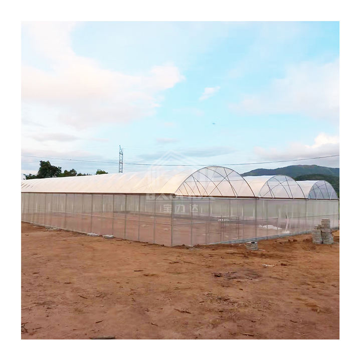 Vegetables growing high tunnel greenhouse covering film polyethylene multi-span greenhouses