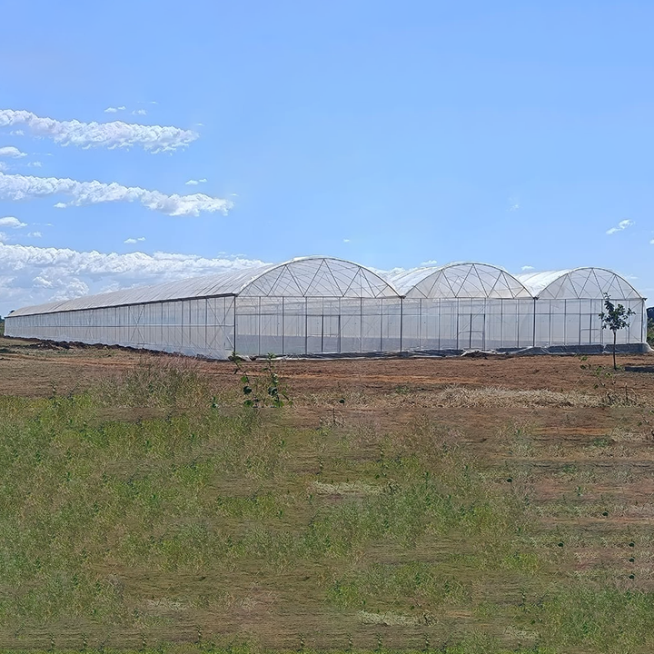 Vegetables growing high tunnel greenhouse covering film polyethylene multi-span greenhouses