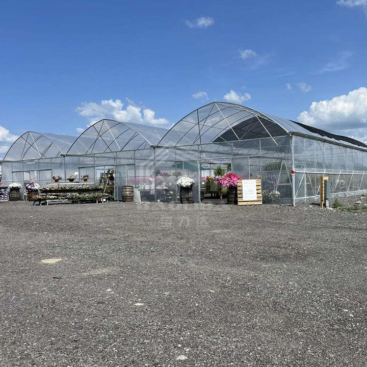 Vegetables growing high tunnel greenhouse covering film polyethylene multi-span greenhouses