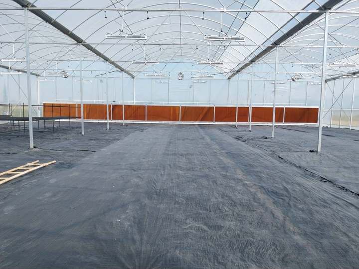 Vegetables growing high tunnel greenhouse covering film polyethylene multi-span greenhouses