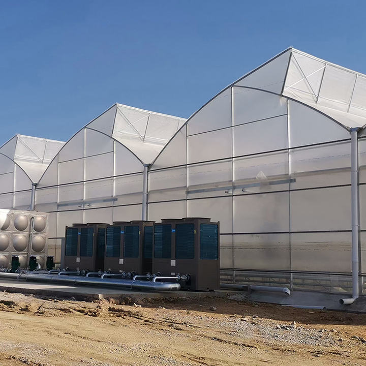 Top ventilation 10m tunnel multi span sawtooth greenhouse for tropical area