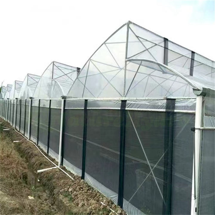 Top ventilation 10m tunnel multi span sawtooth greenhouse for tropical area