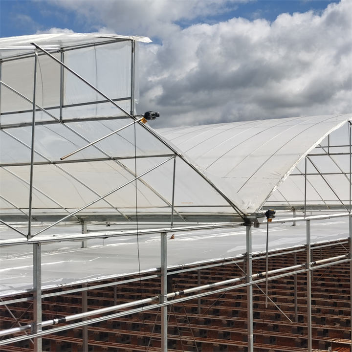 Top ventilation 10m tunnel multi span sawtooth greenhouse for tropical area