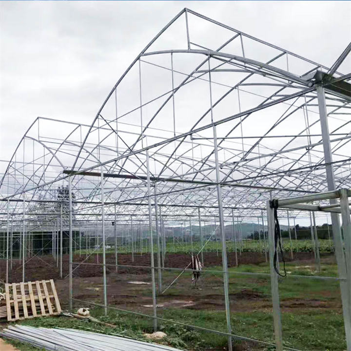 Top ventilation 10m tunnel multi span sawtooth greenhouse for tropical area