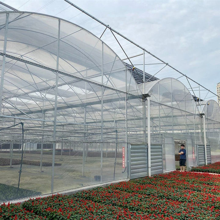 Tomato Commercial Greenhouse Hydroponic System Multis-pan Agriculture Greenhouse With Climate Control Systems Direct Supplier Pricing