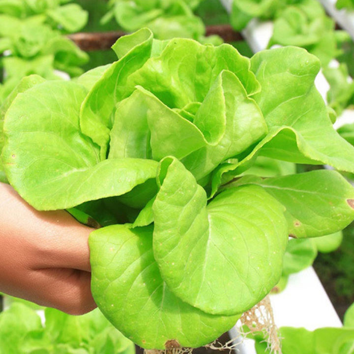 China Factory New Designed Super Farm Hydroponic Nft Growing System Nft Channel Pvc Vertical horizontal Nft Custom Manufacturing Custom Solutions