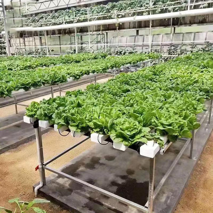 Complete lettuce germination indoor farm growth with light NFT plant hydroponic kit system