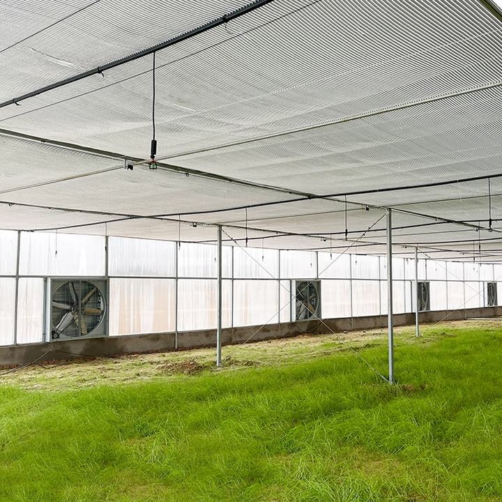 Tomato And Strawberry Greenhouse Turnkey Project Agriculture Multi-span Arch Plastic Film Greenhouse Low-Cost Manufacturing