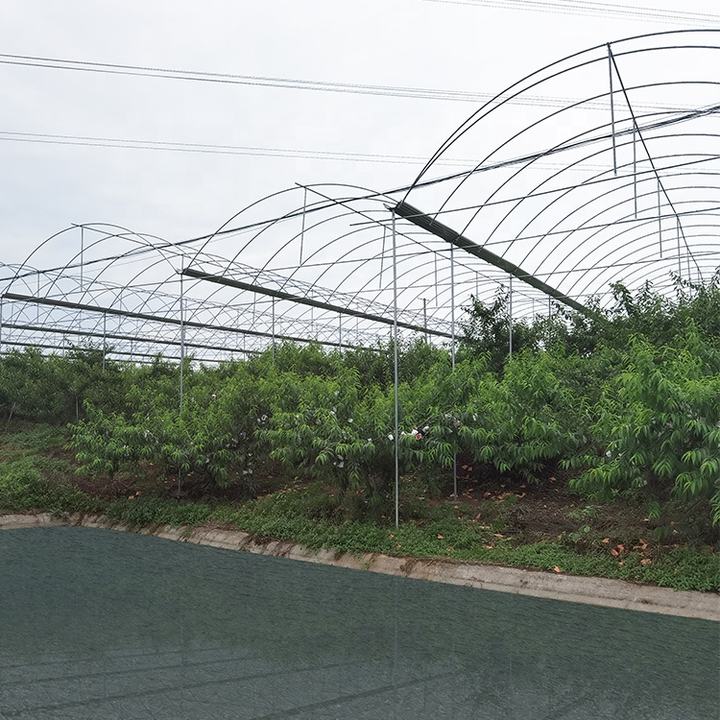 Tomato And Strawberry Greenhouse Turnkey Project Agriculture Multi-span Arch Plastic Film Greenhouse Low-Cost Manufacturing