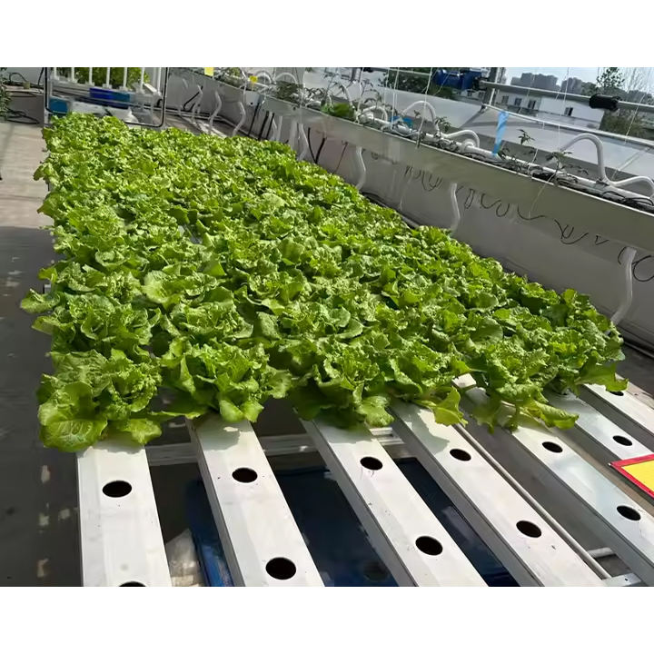 Irrigation&hydroponics equipment Water Saving Vertical Gardening System Hydroponics pvc Nft Channel