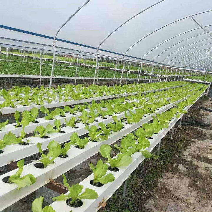 NFT Channel Hydroponic Channels for Commercial Vegetable soilless Hydroponics Growing System 10x5cm growing hydroponic systems Industrial Exporter Wholesale