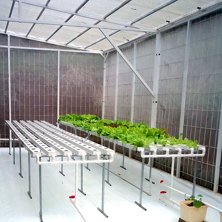 NFT hydroponic channels growing system for home use Chinese Supplier Agricultural Hydroponic Lettuce Growing Systems