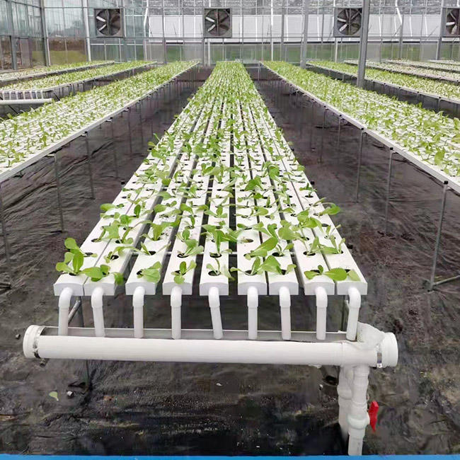 PVC Pipe Vertical Hydroponics Grow Kit For Farm NFT System With 72 Holes Kits hydroponic plant systems for Strawberry or Lettuce