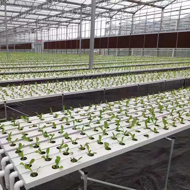 Plant hydroponic system Farm NFT hydroponic framework Agricultural greenhouse Closed hydroponic system