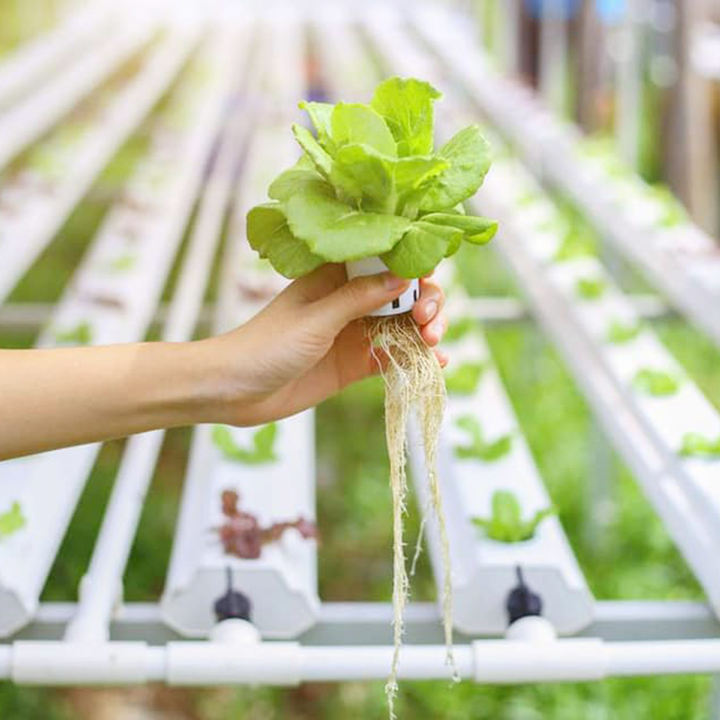 Single span greenhouse agriculture NFT plastic can NFT simple hydroponic system for letter