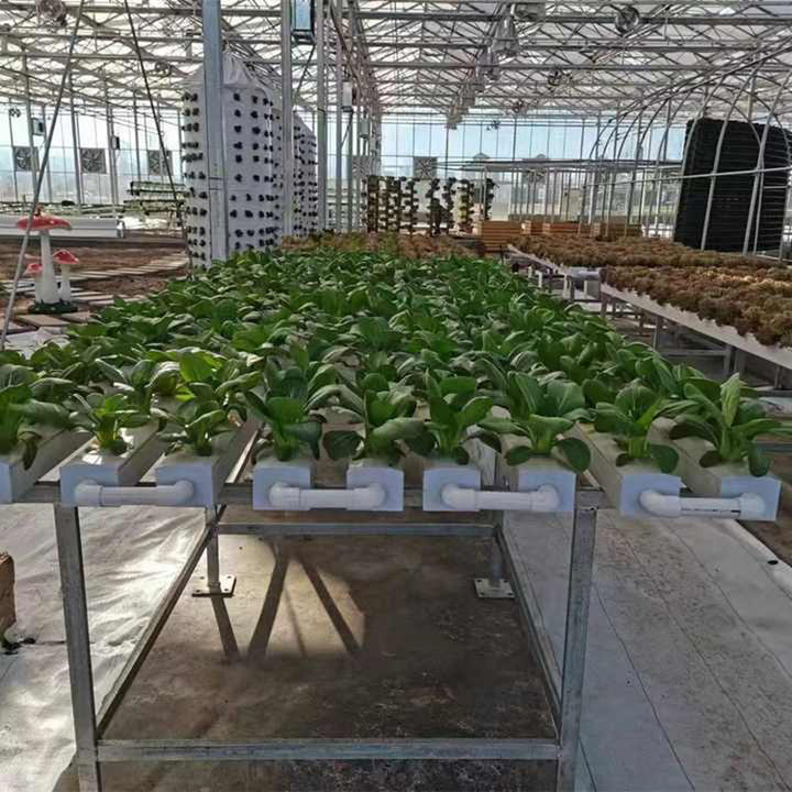 china wholesale home use kitchen hydroponic rack tomato growing farming nft channel hydroponics system for lettuce