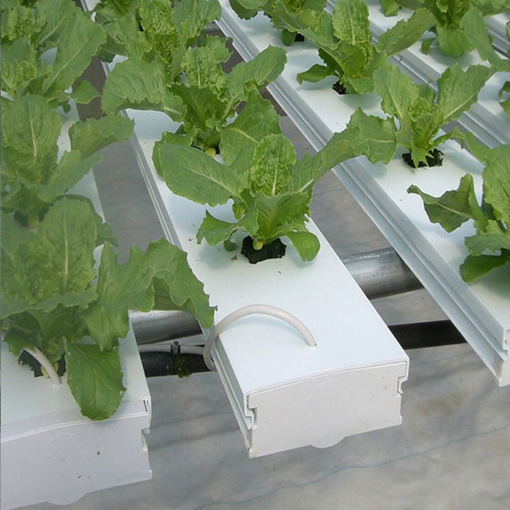 cultivation planting lettuce Horizontal Type Greenhouse Hydroponic System PVC NFT Channel for Planting leafy vegetables