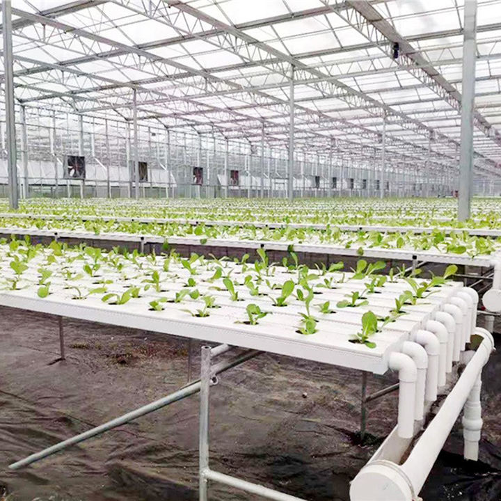 different square planting center soilless nft lettuce hydroponic  set up growing system