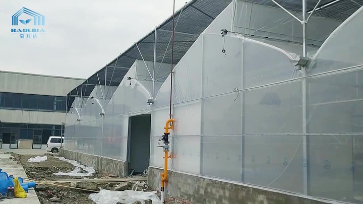 Agriculture Multi-span Arch Plastic Film Greenhouse Tomato Greenhouse And Strawberry Greenhouse Turnkey Project