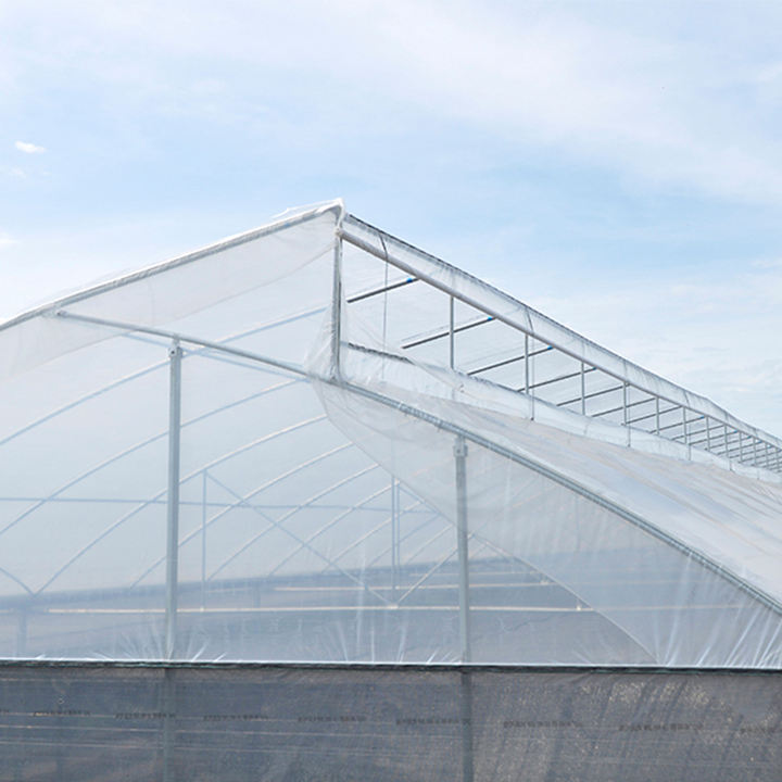 Agriculture Multi-span Arch Plastic Film Greenhouse Tomato Greenhouse And Strawberry Greenhouse Turnkey Project