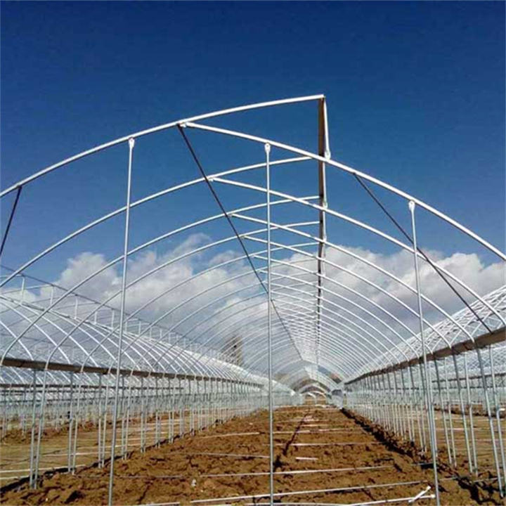 Agriculture Multi-span Arch Plastic Film Greenhouse Tomato Greenhouse And Strawberry Greenhouse Turnkey Project