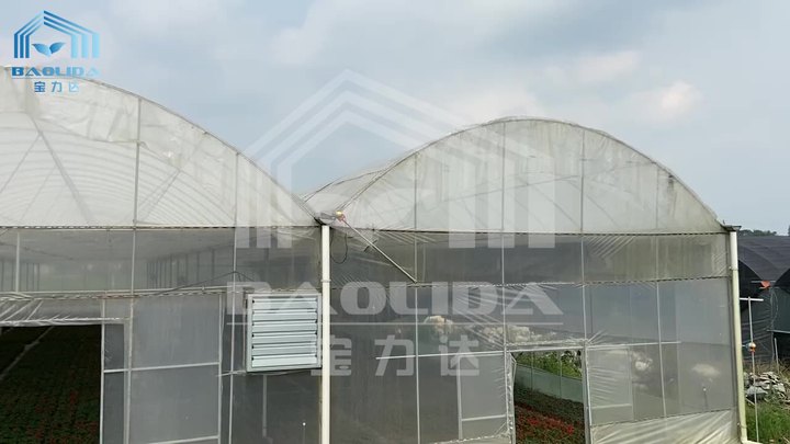 Agriculture farming industrial greenhouse hoop house multispan greenhouse construction