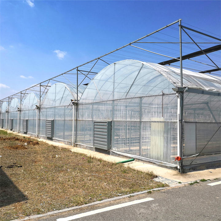 Agriculture farming industrial greenhouse hoop house multispan greenhouse construction