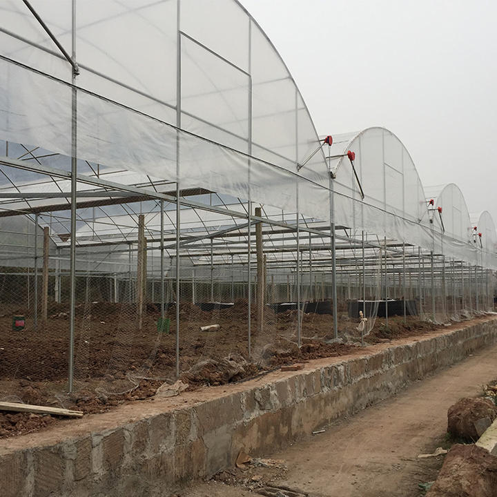 Agriculture farming industrial greenhouse hoop house multispan greenhouse construction