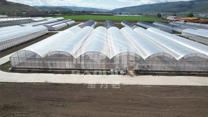 Agriculture hydroponics large green house automatic control multi span high tunnel pe film multi-span greenhouse