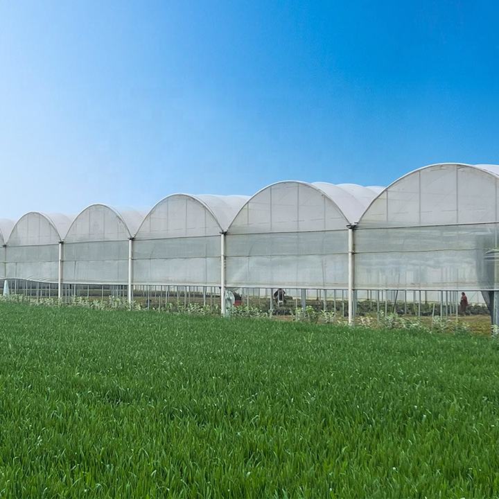 Agriculture hydroponics large green house automatic control multi span high tunnel pe film multi-span greenhouse